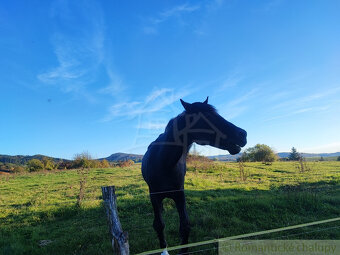 Pozemok s výhľadom vhodný na Tiny house - 8