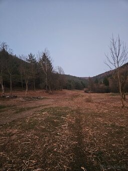 Frézovanie kríkov - 8