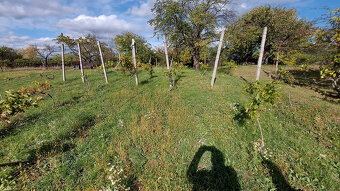 Pozemok o výmere 1333 m2 v Leviciach - Dolné Staré Levice - 8