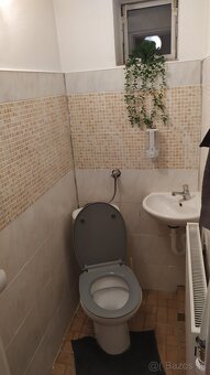 dám do prenájmu v obci Valča - 8