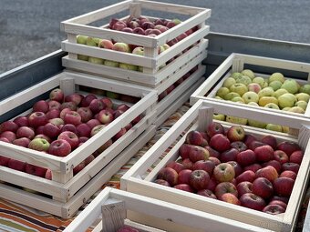 Debničky z dreva - 8