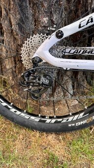 predam cannondale triger Lefty L - 8