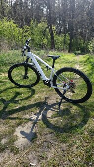 kellys tayen R50 - 8