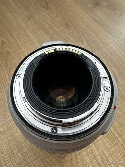 Canon EF 100-400mm f/4.5-5.6 L IS II USM - 8