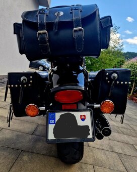 Yamaha Drag Star 1100 - 8