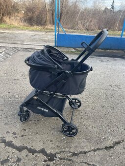 Kočik pre psika - 8