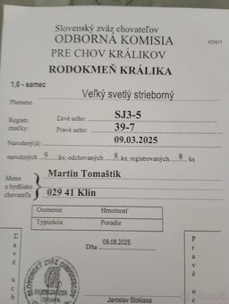 Vss králik - 8