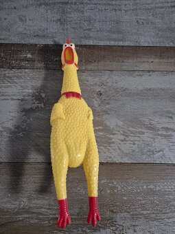 PREDAM: ROZNE NEPOTREBNE VECI (pre psov) - 8