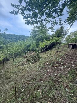 Zahradné Práce - Montaž 2D/3D/Pletivo, Travnik, Orez - 8
