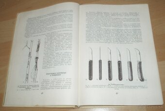 Štepenie, očkovanie a preštepovanie drevín - 8