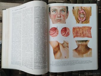 Ruské encyklopedické lerkarske série.. - 8