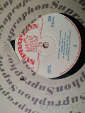 53 Ks Selakove platne gramofonove platne 53 ks - 8