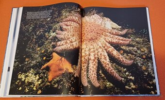Morský breh-prírodovedná publikácia,Larousse,100% stav% - 8