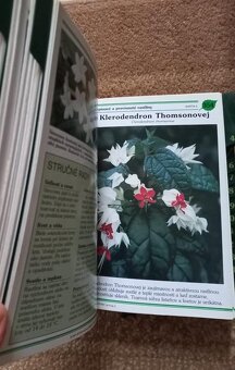 Kniha o kvetinách - 8
