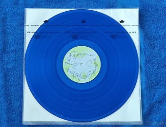 Raveena - Where the butterflies go in the rain (platňa,Vinyl - 8