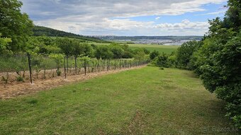 Predaj záhrady 899 m2, k.ú. Dražovce, Hrabová ulica, obec Ni - 8