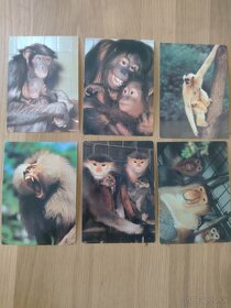 Predám nepoužité - 8