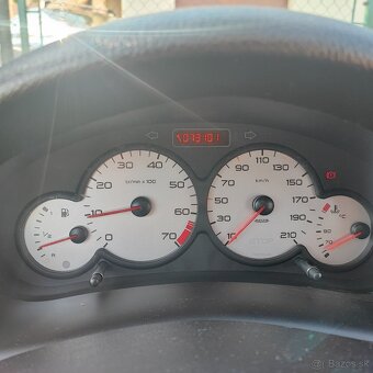 Peugeot 206 sw - 8