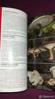 1000 slovenských a českých húb - 8