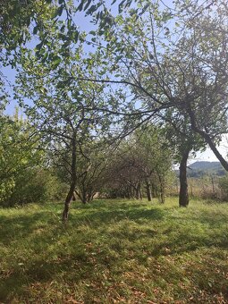 Vianoce pri krbe vo vlastnom dome pri TN - 8