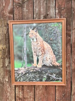 Živé Obrazy - Fotografia na platne - 8