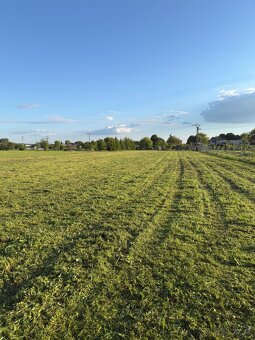 Čistenie pozemkov,mulčovanie, pomocné stavebné práce - AVANT - 8