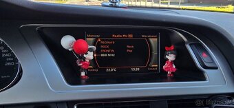 Audi A4 B8 1.8T - 8
