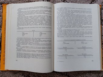 Účtovníctvo Základy účtovníctva 1 (veľký formát) - Laučík - 8