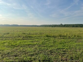Predám lukratívny pozemok - ZNÍŽENÁ CENA  - 8