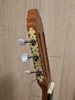 Akustická gitara Valencia - 8