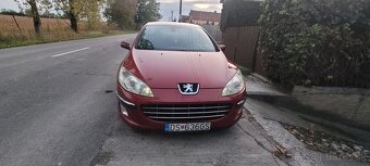 Peugeot 407 - 8