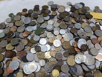 Mince 3.5kg lot5 - 8