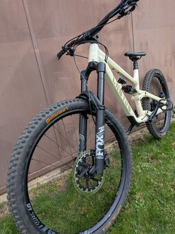 Canyon Torque Mullet AL - 8