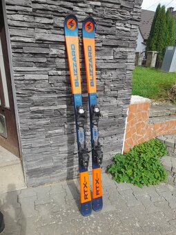 LYZE FISCHER-ELAN - 8