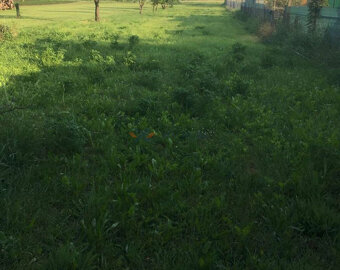 Veľký rodinný dom BOJNICE - viac možností využitia  - 8