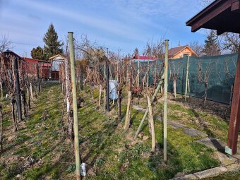 Chata na predaj v Nových Zámkoch. - 8