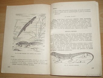 Zoológia pre 7. ročník všeobecnovzdelávacích škôl - 8