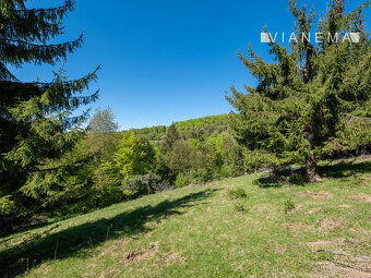 IBA U NÁS Pozemok na samote v lese - Lazy pod Makytou - 8