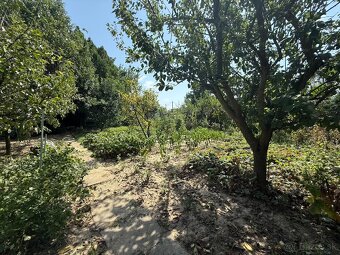 Predaj záhradky – Šaľa, Váhová ulica (pri klzisku) - 8