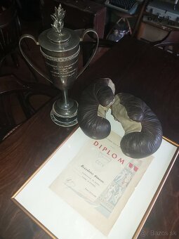 Starodávne boxerské rukavice - 8