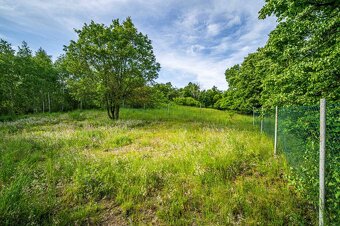 TOREA - POZEMOK NA PREDAJ - 5480 m2 - SVÄTÝ JUR, OKRES PEZI - 8