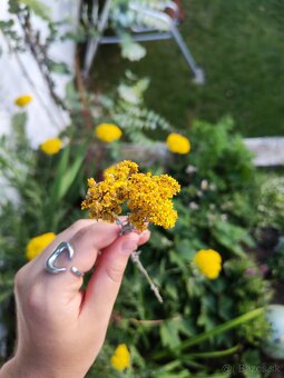 🌻Kytička sušených žltých slameničiek - 8