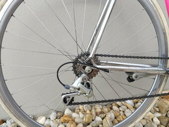 F.Moser Leader AX - 8