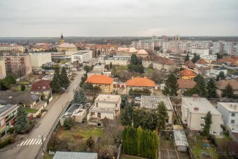 CarlZeissJena Flektogon 4/20 - 8