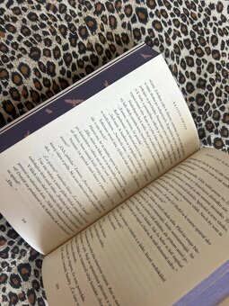 Most cez rieku chýb - Kristin Dwyer - 8