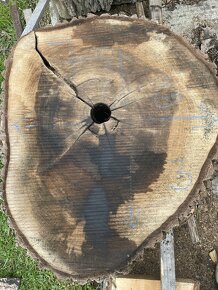 Orechové Drevo Rezivo Priečne rezy Kolace - 8
