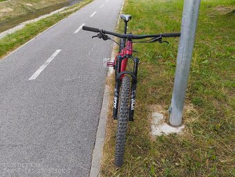 Pells Root 1 - veľ. M - 8