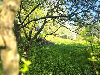 Predaj// záhrada nad kúpaliskom Handlová// 501 m² - 8