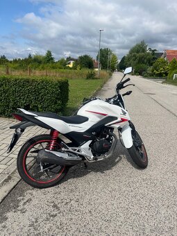 Honda CBF 125 - 8