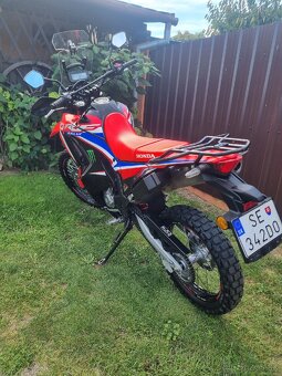 Honda crf 300 rally - 8